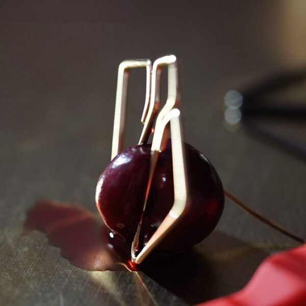 Sexy Nipple Clamp Vagina Props Punishment Nipple Clitoral Clip - Image 8