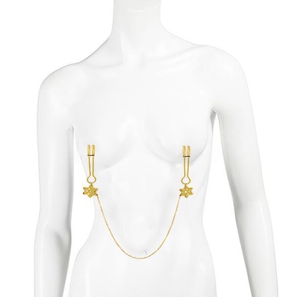 Women's Nipple Clamps Going Out - Image 5
