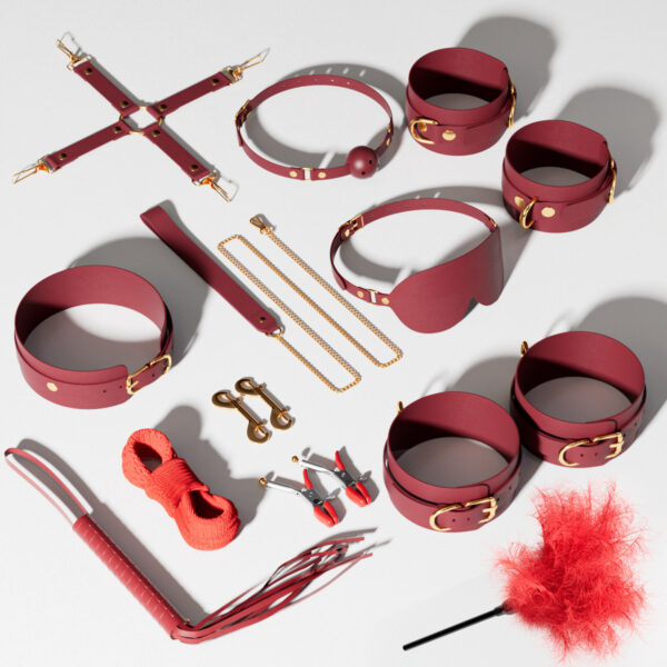High-end Training Female Binding Nipple Clamp Suit Couple Adjustment Couple Binding Set - Image 7