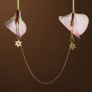 Women's Nipple Clamps Going Out