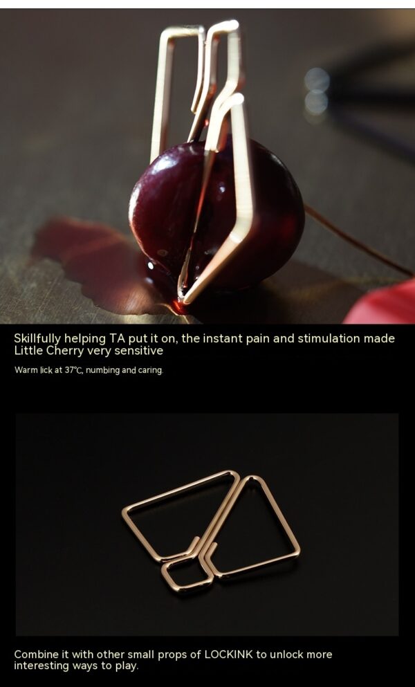 Sexy Nipple Clamp Vagina Props Punishment Nipple Clitoral Clip - Image 3