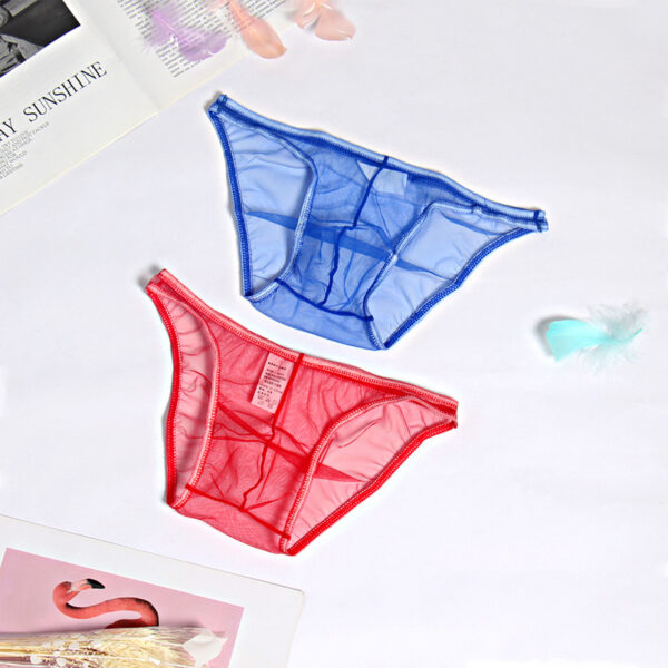 Popular Mesh Transparent Men's Underwear Gay Thong - Image 2