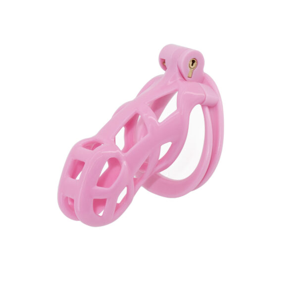 Male Chastity Lock Penile Ring Abstinence Light And Fun - Image 6