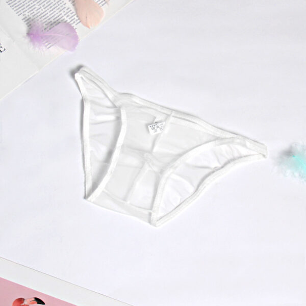 Popular Mesh Transparent Men's Underwear Gay Thong - Image 4