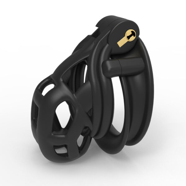 Double Solitary Ring Light Cb With 4 Rings - Image 2