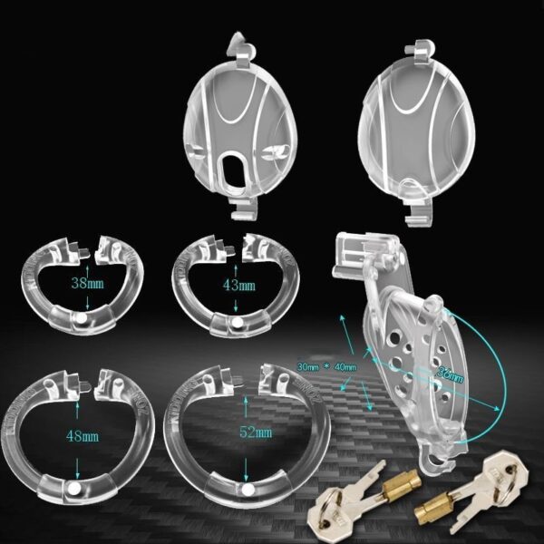 Movable Ring Of Cage Cover Chastity Lock - Image 6