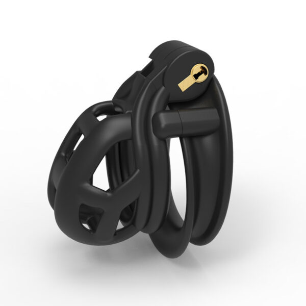 Double Solitary Ring Light Cb With 4 Rings - Image 3