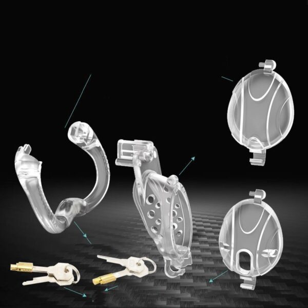Movable Ring Of Cage Cover Chastity Lock - Image 4