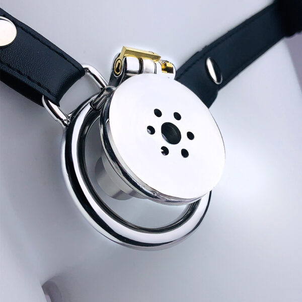 Arc Ring Wear Suit Single And Double Stainless Steel Negative Series Men's Chastity Lock - Image 10