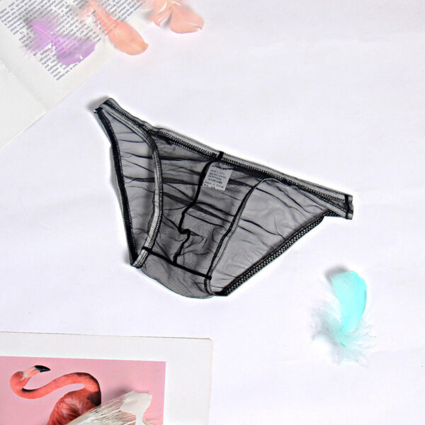 Popular Mesh Transparent Men's Underwear Gay Thong - Image 5