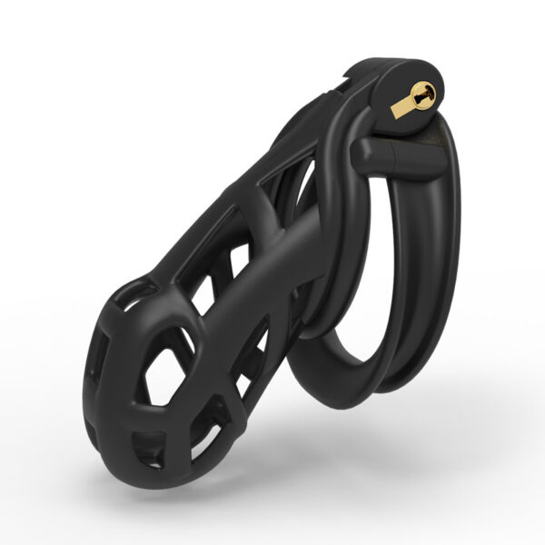 Double Solitary Ring Light Cb With 4 Rings - Image 5