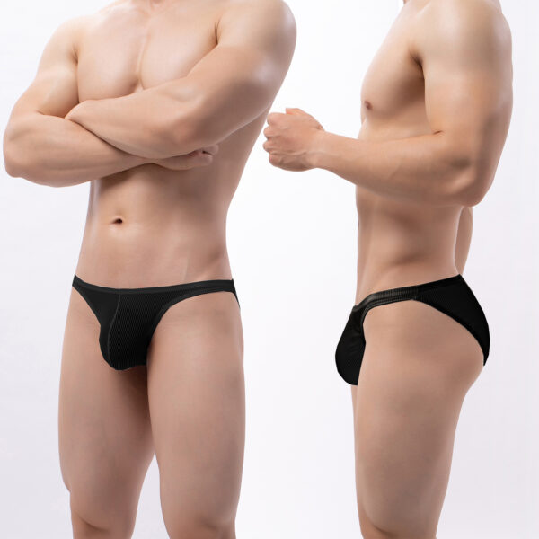 Men's Underwear Rib Briefs Low Waist See-through Couple Refreshing Dew-fur - Image 2